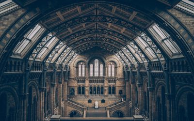 Identifying Common Problems that Indicate Your Skylight Needs Replacement in Alan Avenue