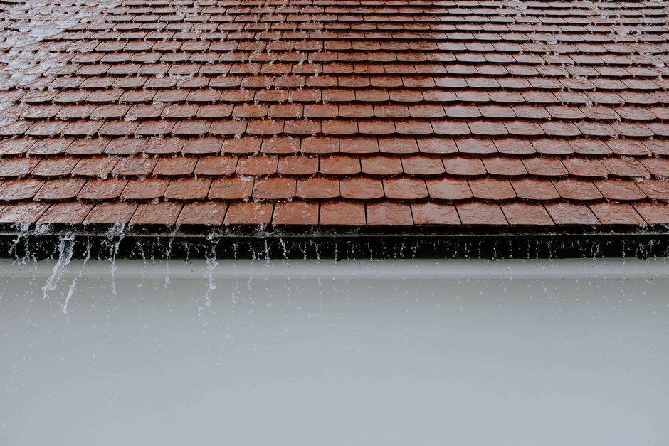 Key Considerations for Skylight Replacement in Adelpha Drive: Navigating Local Climate and Building Codes