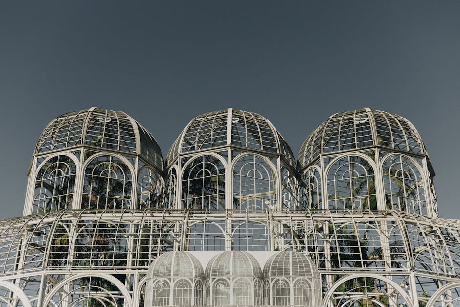 pexels-photo-2380577